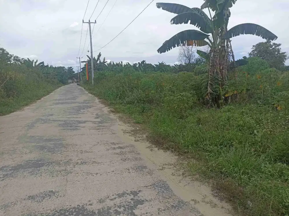 Dijual Tanah di Jl Naga Sakti Pekanbaru