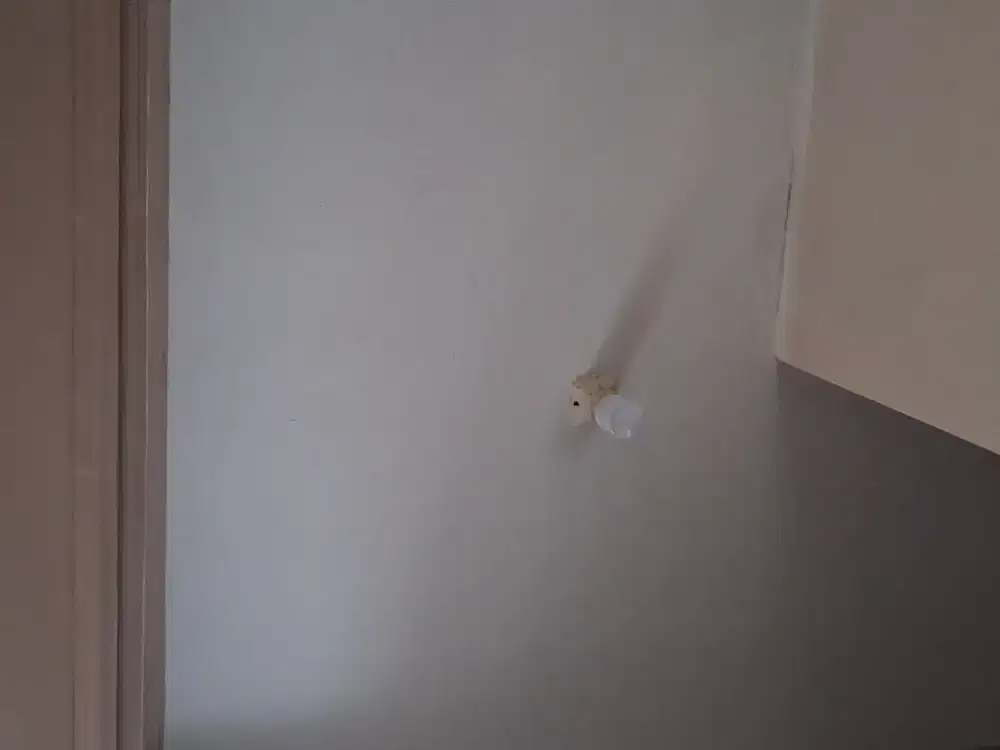 Dicari ART harian pulang pergi