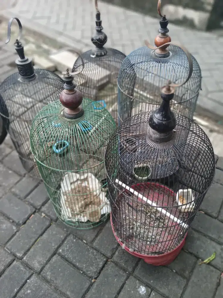 Jual kandang bulat 6