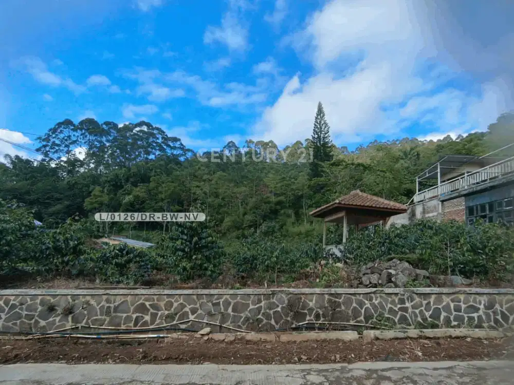 Dijual Tanah Luas Pimggir Jalan Siap Bangun Di Ciwidey Bandung