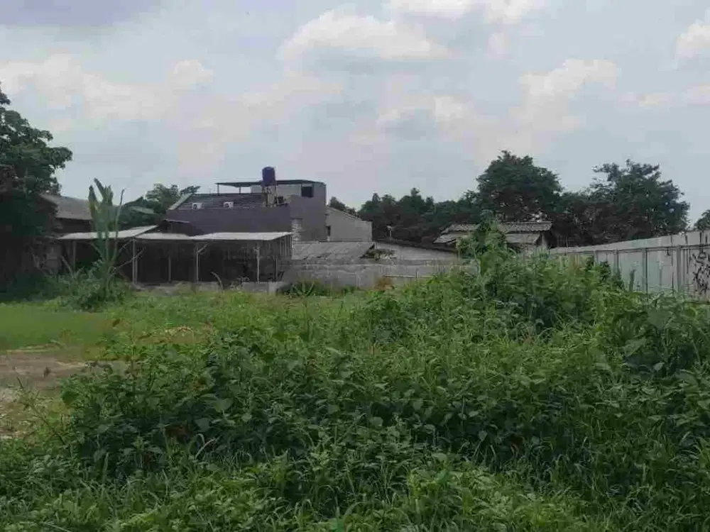 sewa tanah kavling luas 600 m2 di lenteng Agung