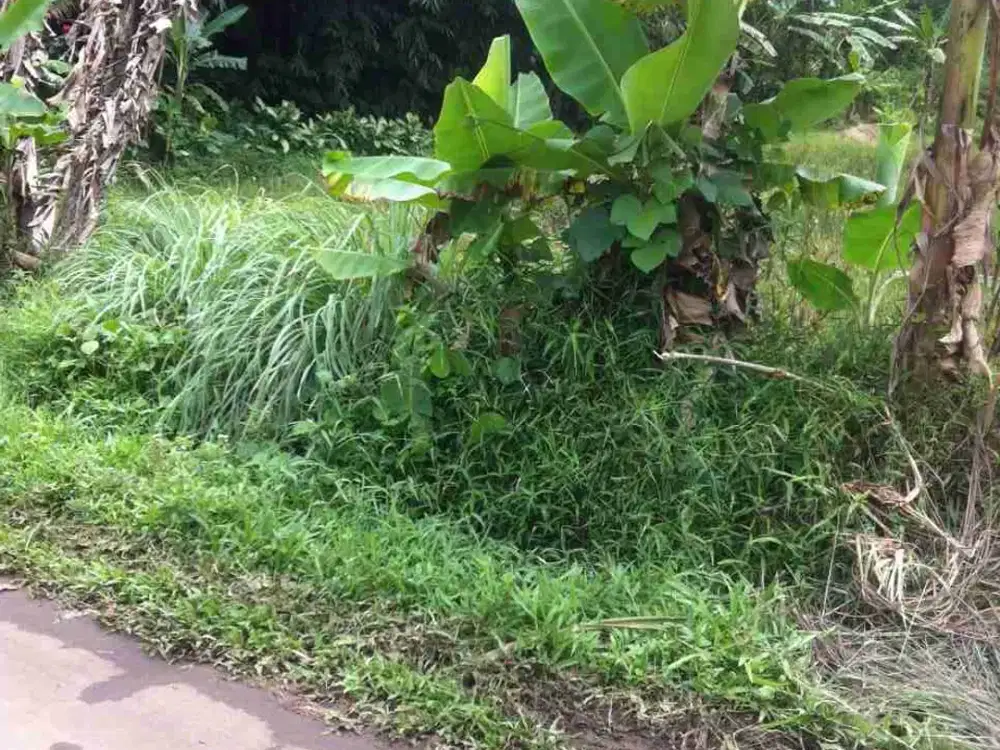 LAHAN 1064m2 BAGUS BUAT USAHA KOST KOST AN DAN RUMAH KONTRAKAN