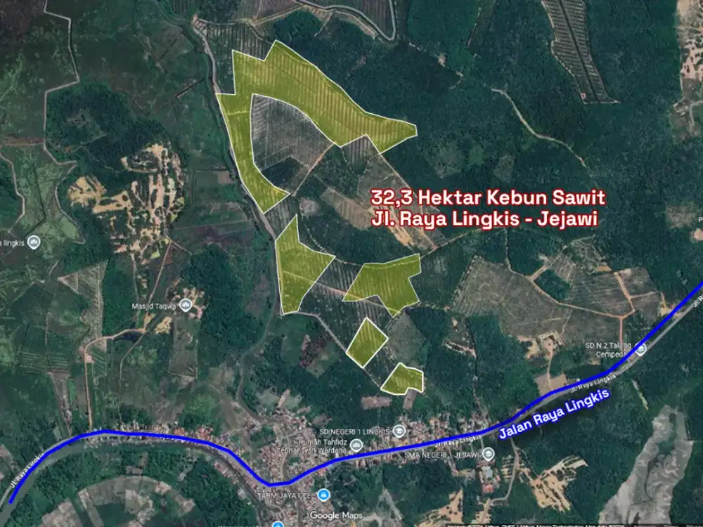 DIJUAL 32 HEKTAR KEBUN SAWIT PRODUKTIF CUMA 1,6 M! JEJAWI OKI