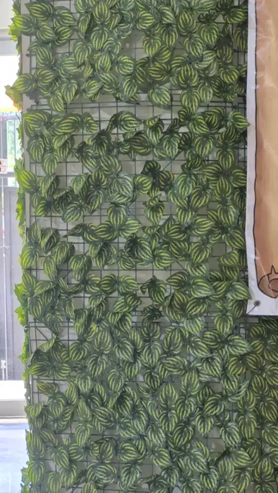 Daun rambat dekorasi dinding pagar rumah cafe anti tampias bekas