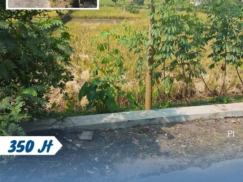 Dijual Sawah Lokasi Simo, Kebakkramat, Karanganyar