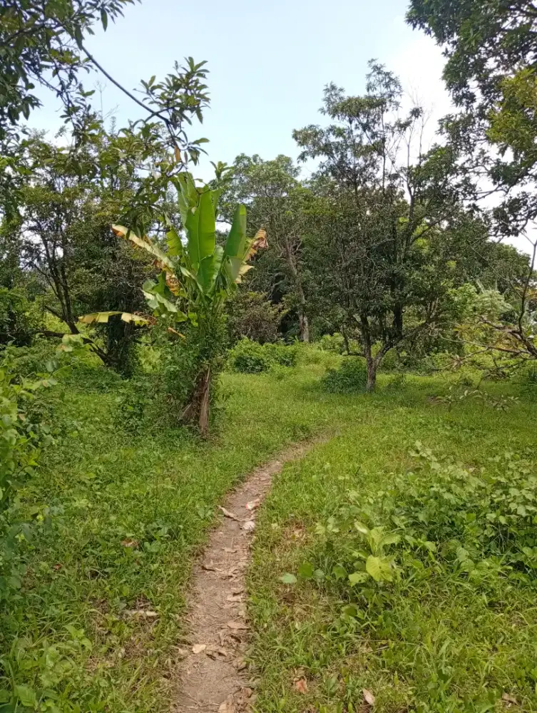 TANAH PEKARANGAN 18are  SEJUK AMAN DAN NYAMAN CAKRA UTARA