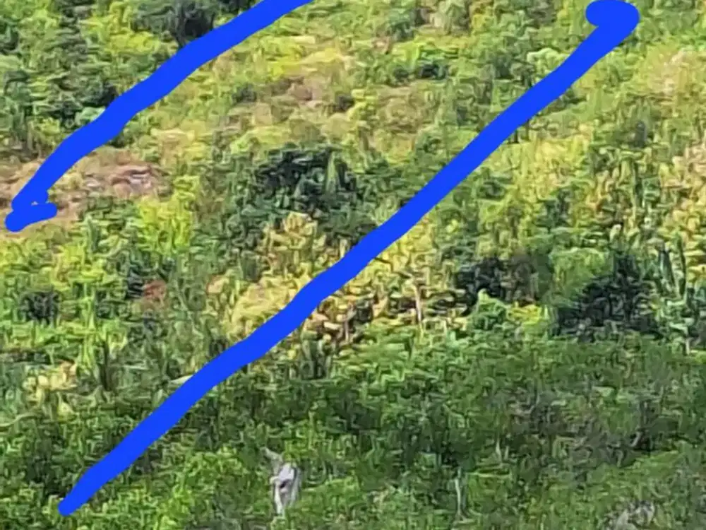 Tanah 87 Are View Laut Dijual, di Ceningan, Nusa Penida Area