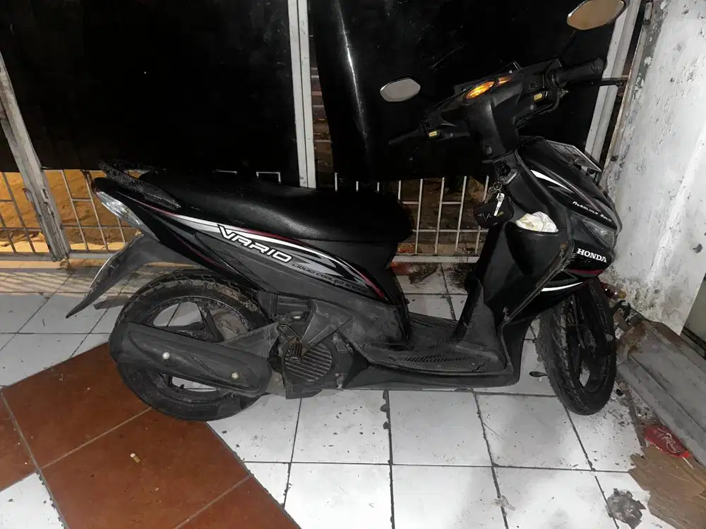 Vario cw 2013 original terawat