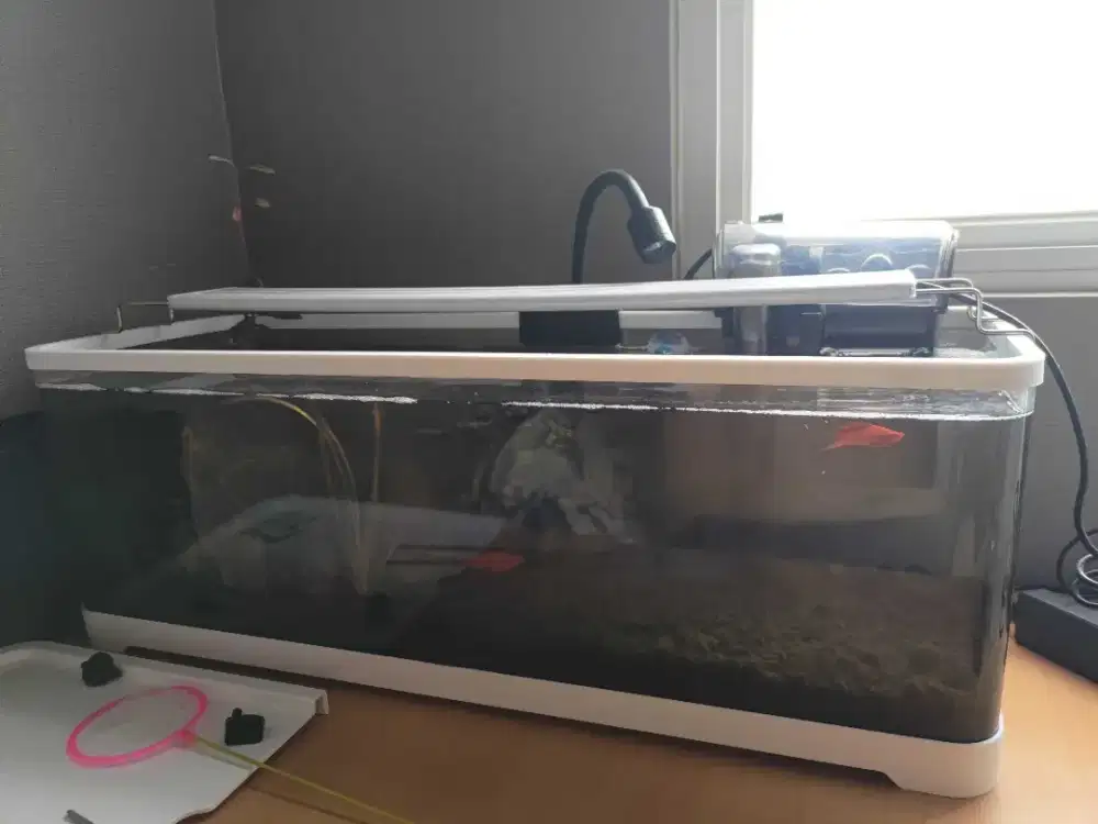 Aquarium full set murah