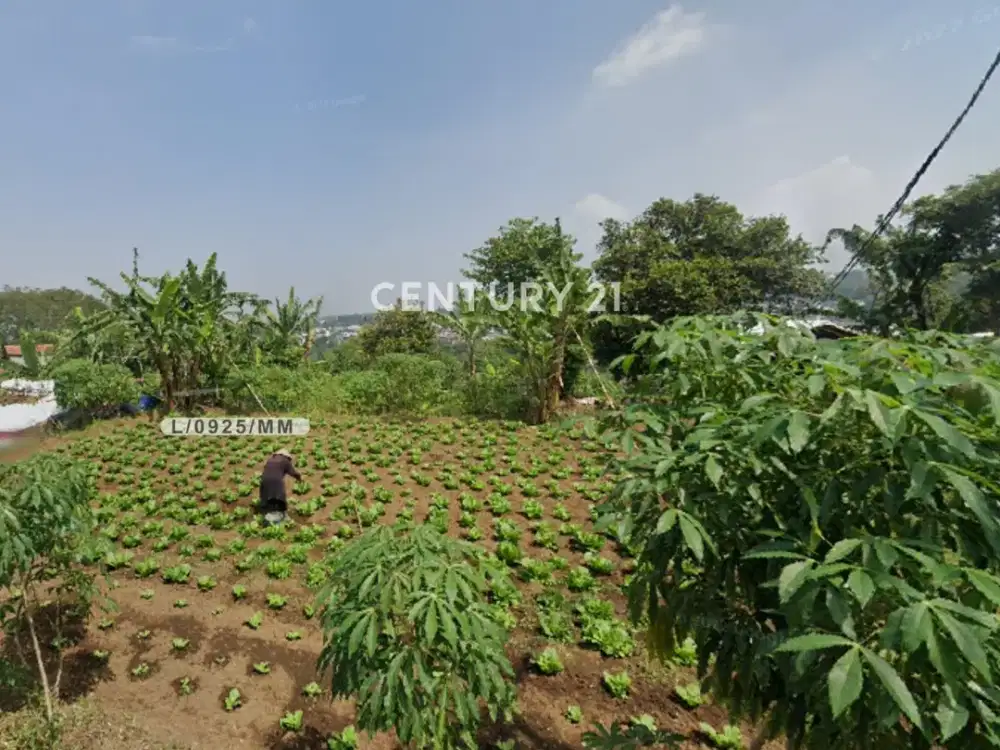 Tanah Luas Untuk Hotel Villa Cafe Di Jl Raya Lembang Bandung
