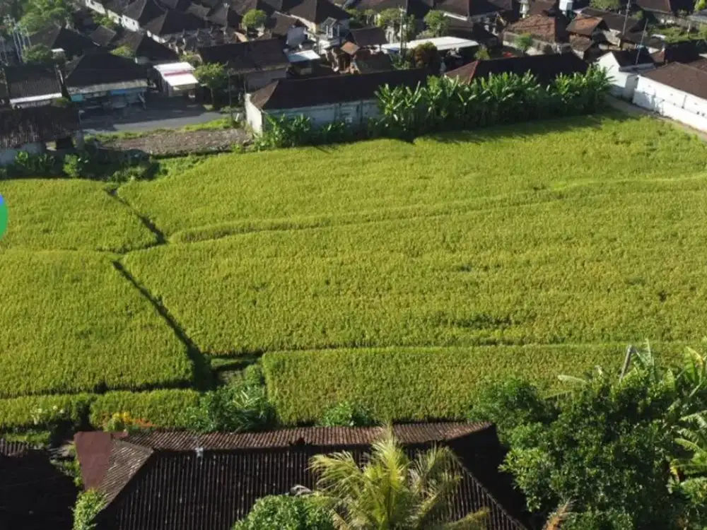 Dijual Tanah Pinggir Jalan Utama Kediri Tabanan - Super Strategis