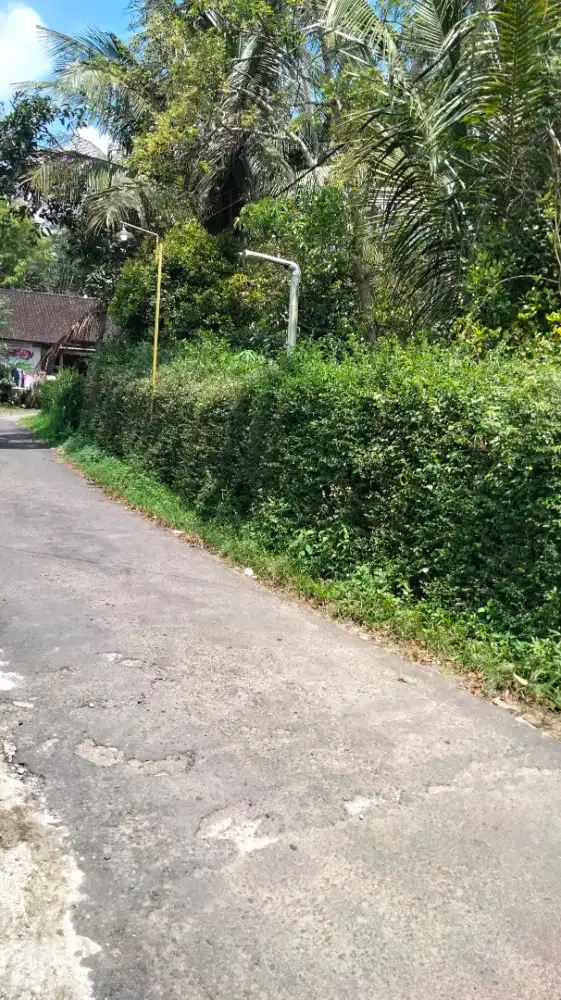 Jual tanah sesuai kebutuhan