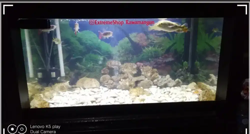 Aquarium Ikan Hias Ser Rak 4 kaki Good Conditions