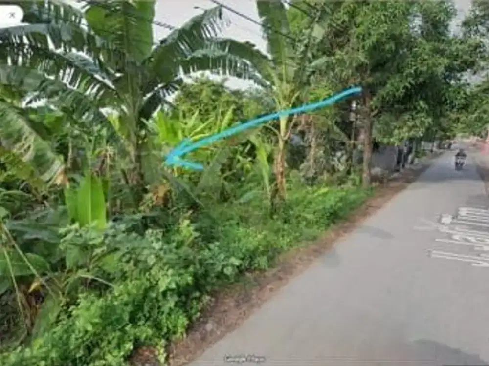 tanah harga miring dekat sekolah smpn 1 kramat dampyak tegal