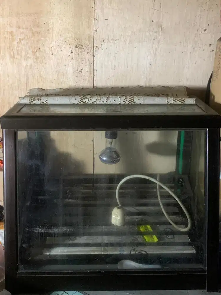 Dijual etalase chicken