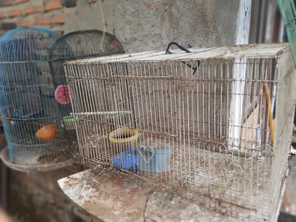 Jual kandang kotak dan 2 kandang bulat