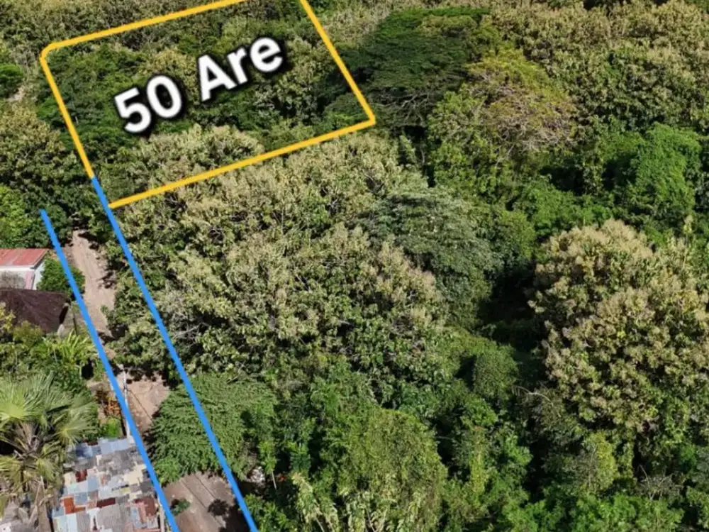 FOR SALE – LAHAN 50 ARE DI PECATU