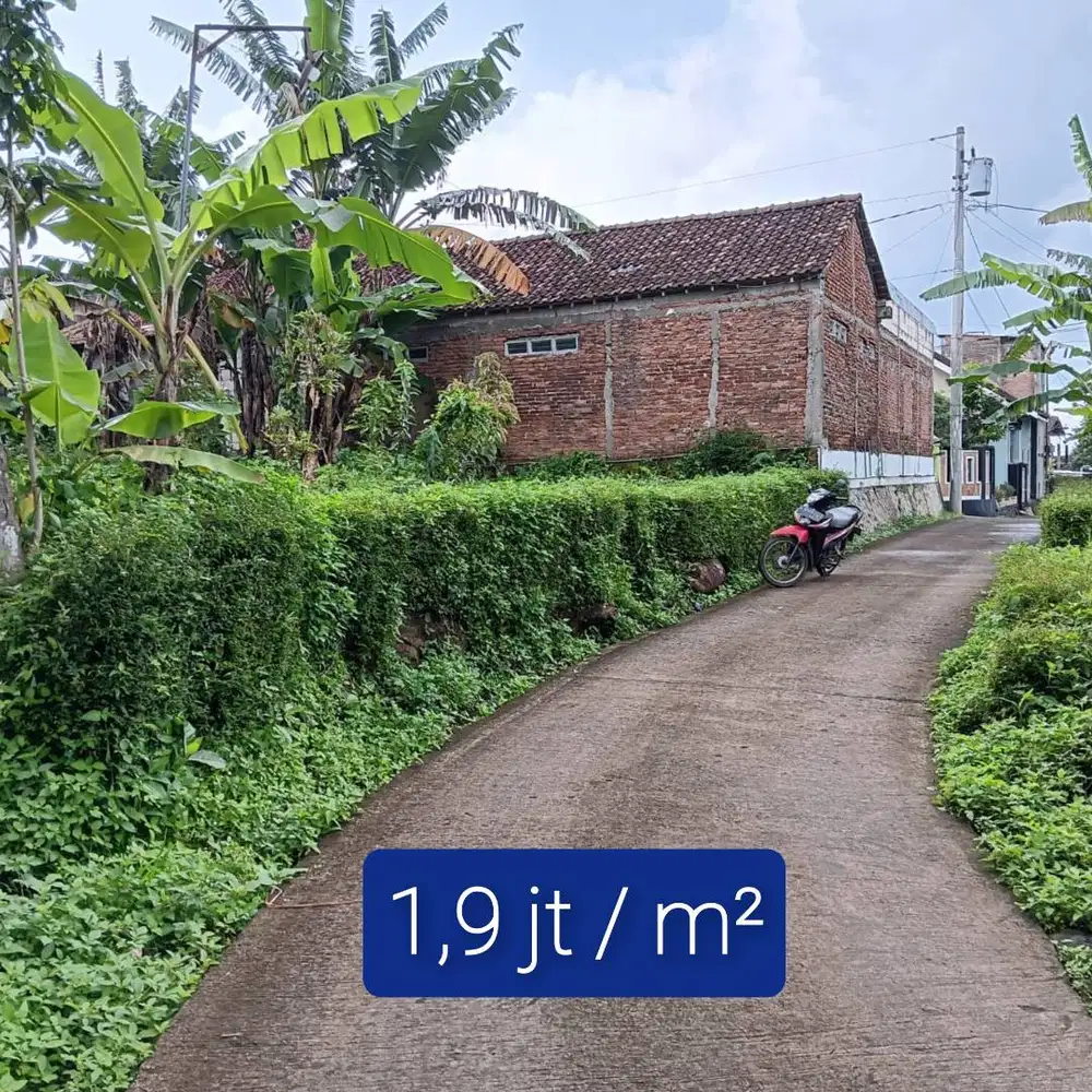 Dijual Tanah Kapling di Bergaslor Lokasi Strategis