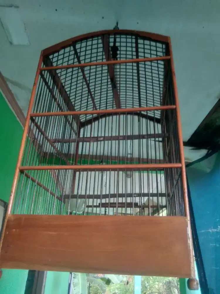 Kandang burung kotak msh bagus