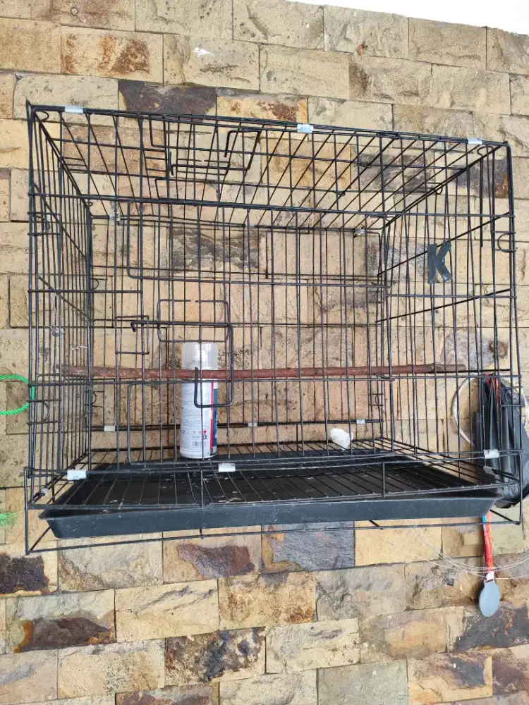 Kandang kucing maupun burung