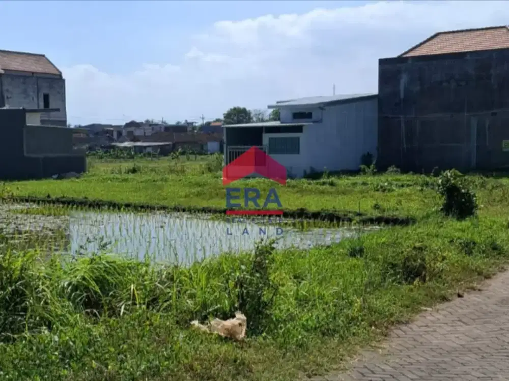 Dijual Tanah di Jalan Sawah Bakalan Krajan Malang