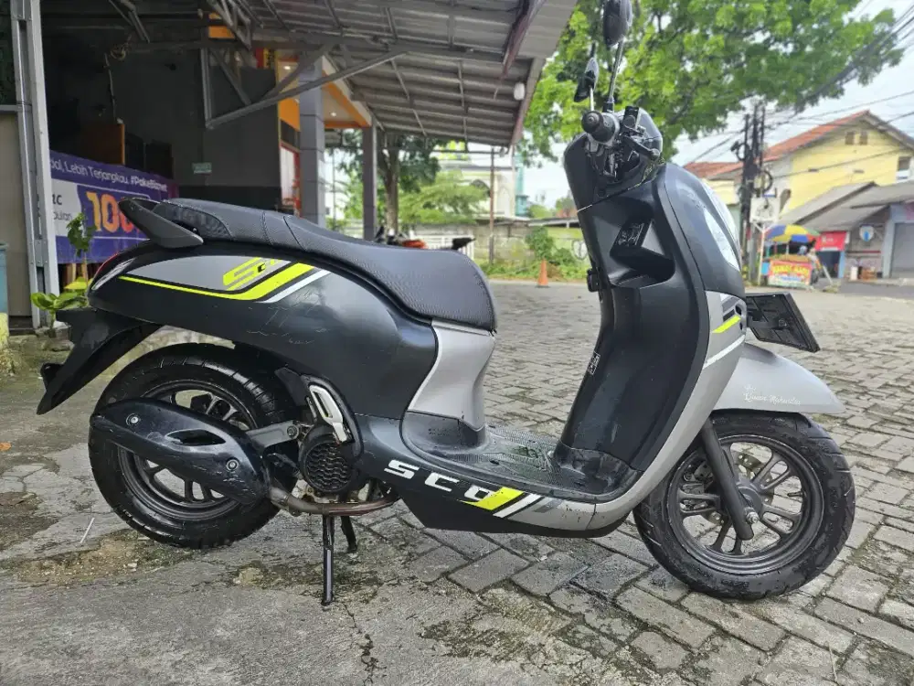 Scoopy donat Esp 2023