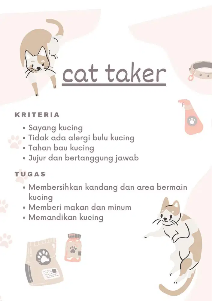 Dicari cat taker