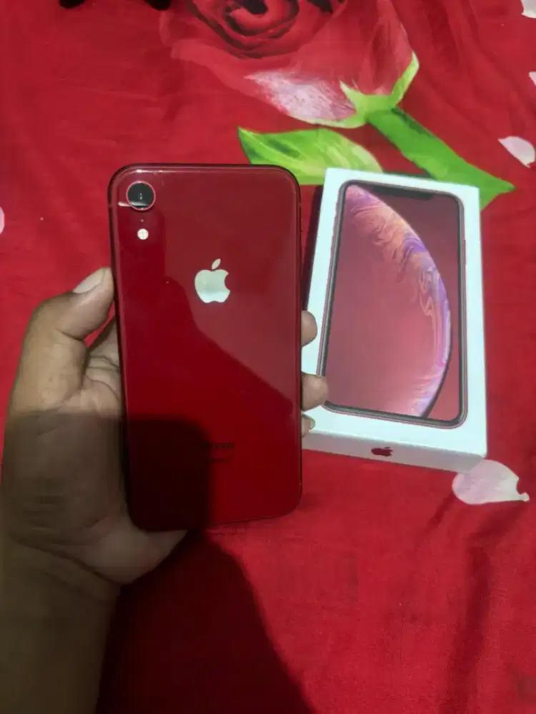 iPhone XR 256GB beacukai
