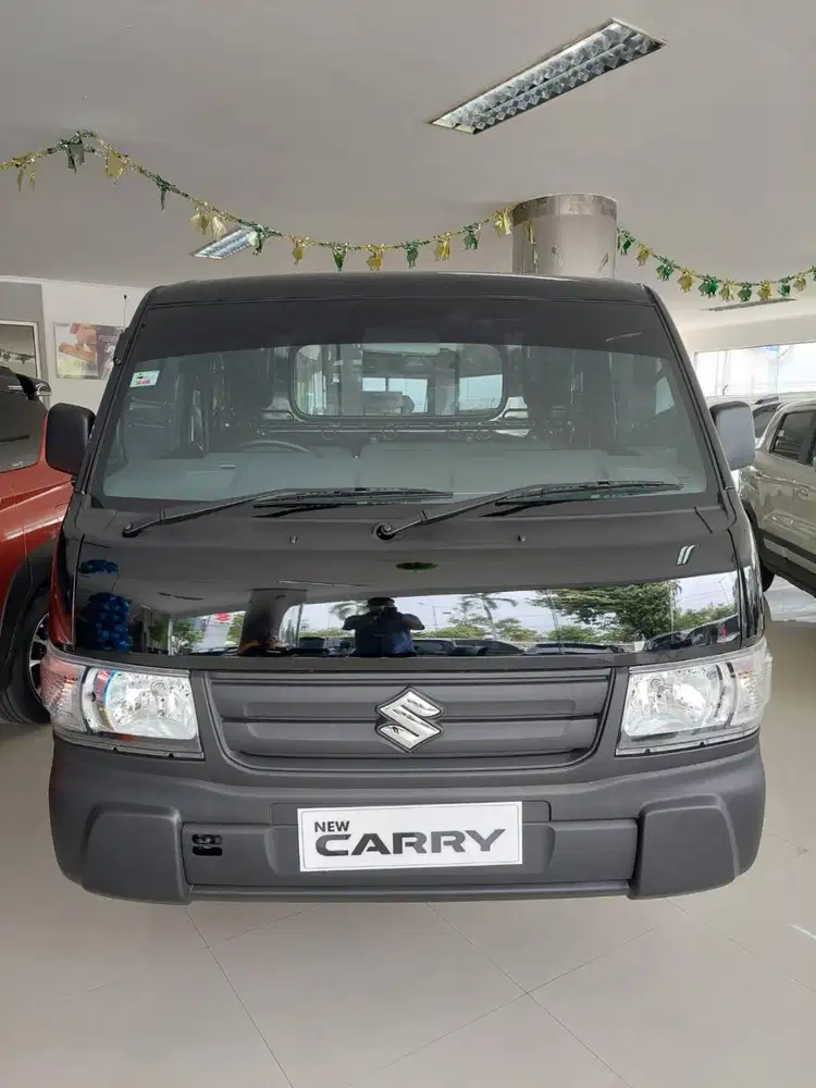 promo  carry pick up