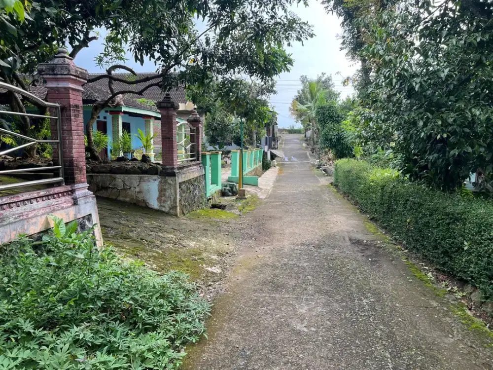 Tanah 100Jt Dekat Terminal Batu Jamus Sragen