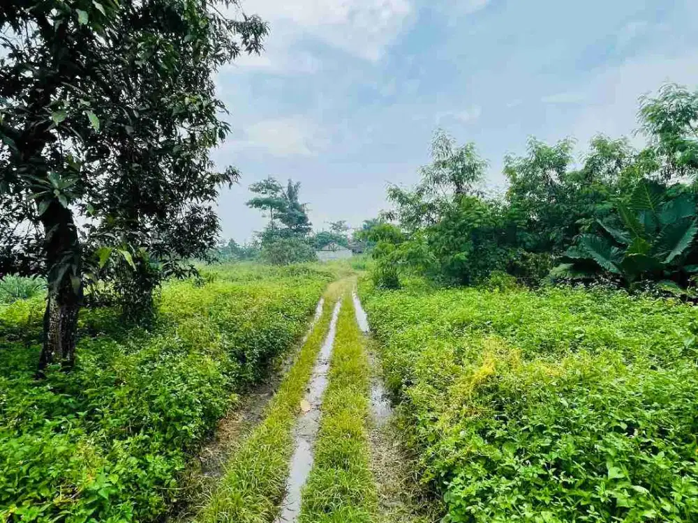 Jual Tanah Muraaaahhhhhh di Legok Luas SHM