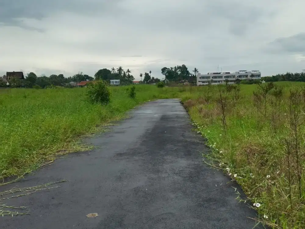 Tanah 6.4 Are Sangat Cocok di Bangun Villa Dekat Pantai