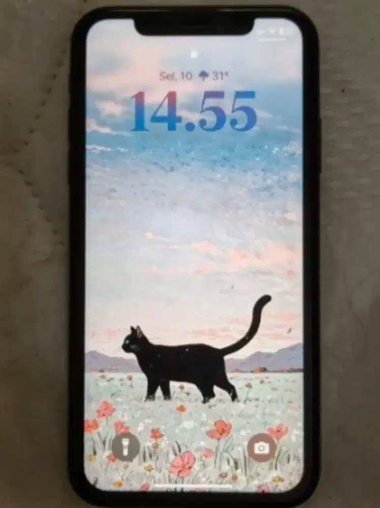 iPhone XR inter all operator 64gb