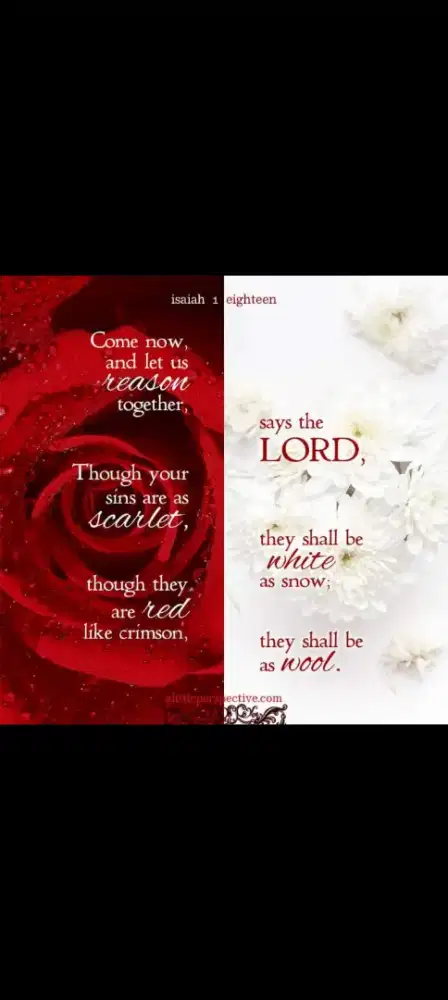 Personal Assistant / Aspri / Caregiver