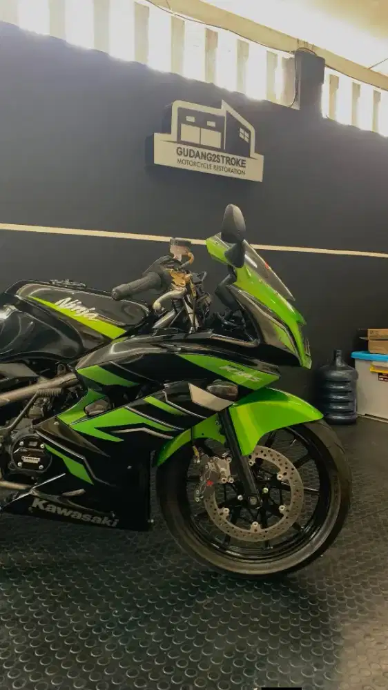 Kawasaki ninja rr new