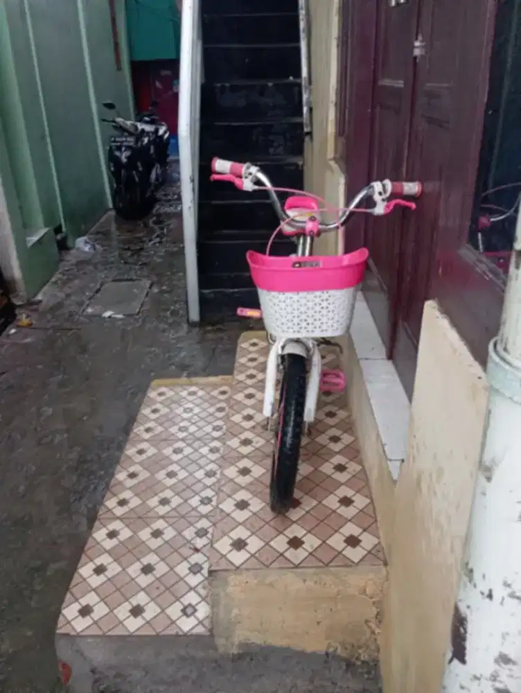 Di jual sepeda anak perempuan