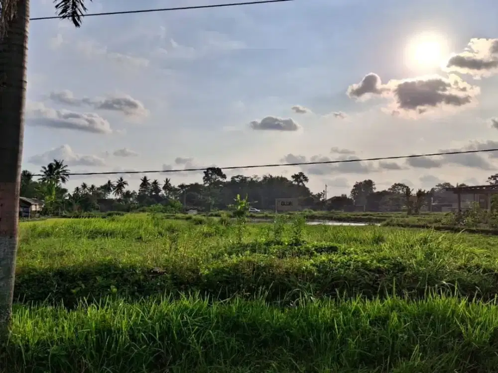 Tanah Luas 774 Meter Persegi Lokasi Krandon Wedomartani Sleman