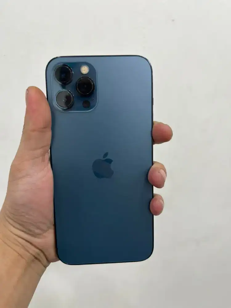 iPhone 12 Pro Max 256 Fullset Inter Nominus