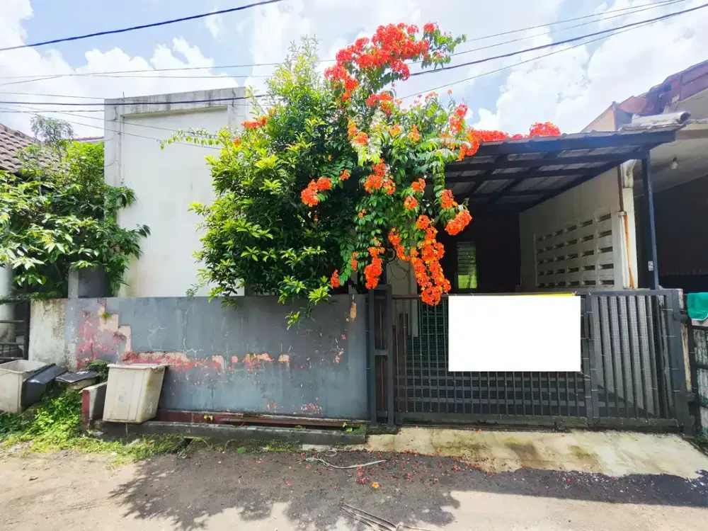 Rumah Asri Siap Huni 10 Mnt ke Stasiun Bogor 1 Lt Hadap Timur J-45018