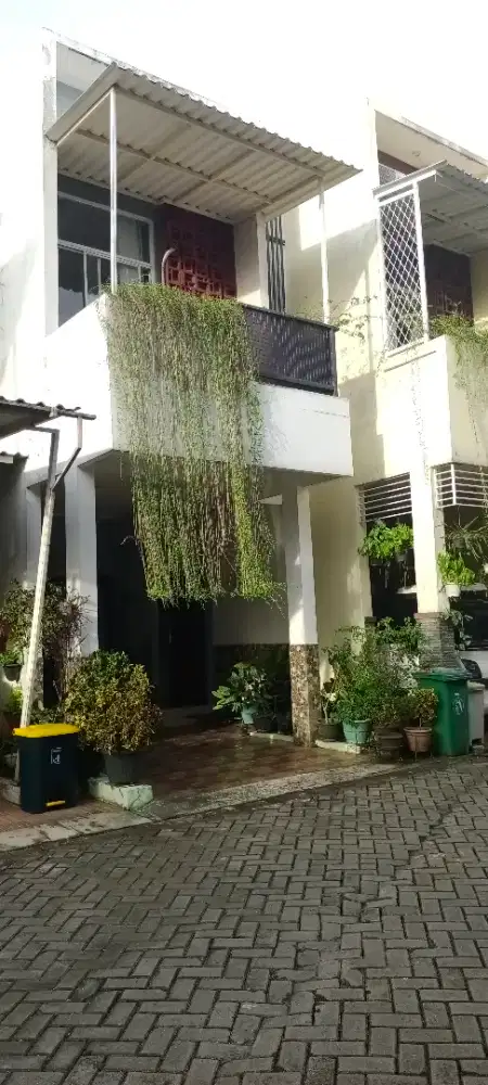 Palm villas Residence