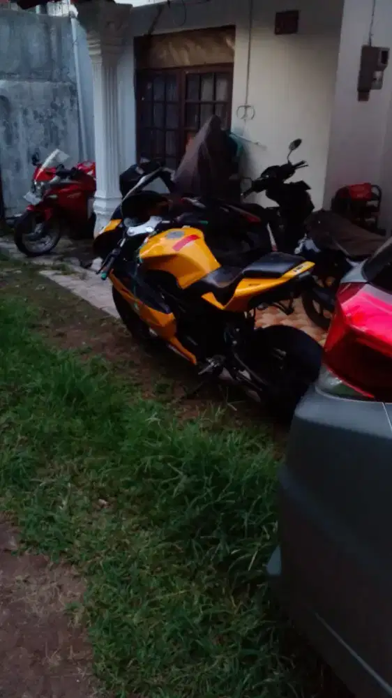 Minerva Migelli 250r 2009