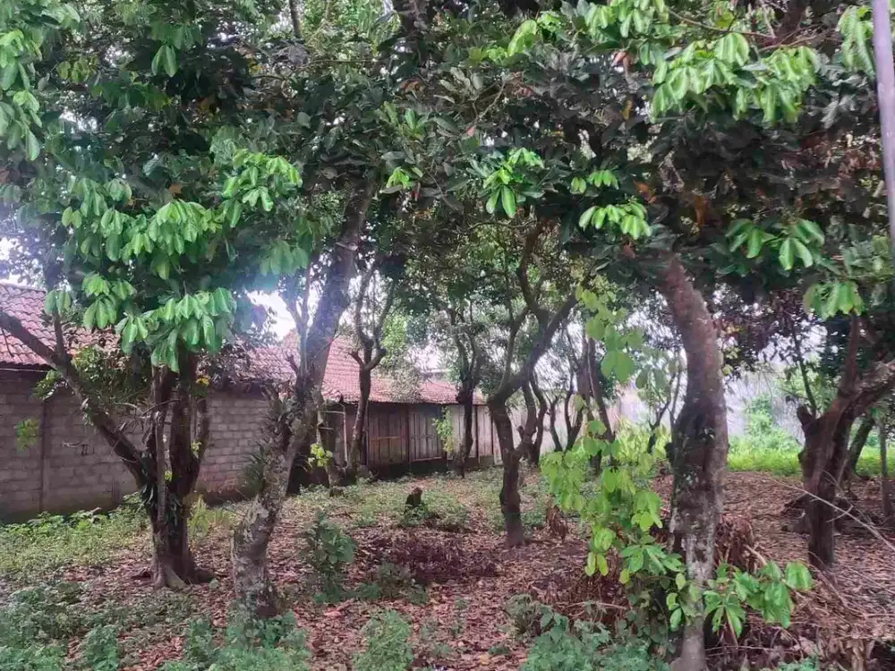 tanah bagus strategis jl gitogati ke selatan