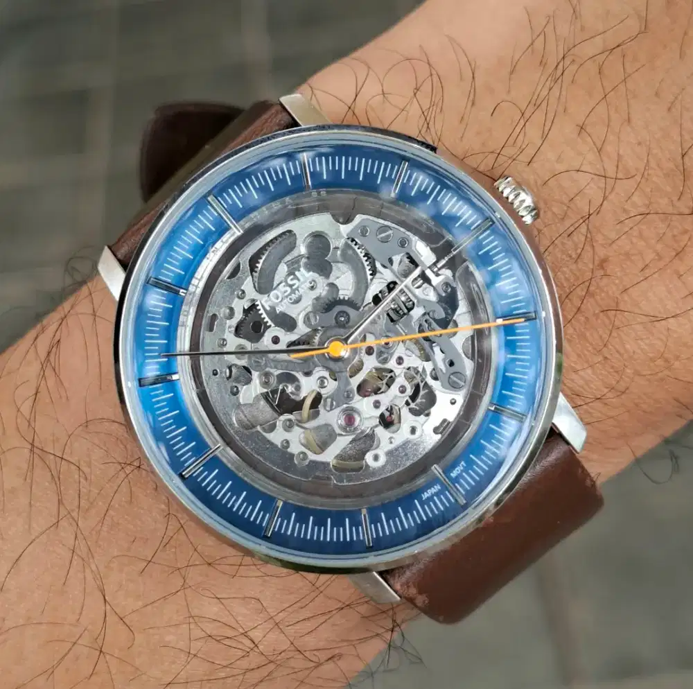 Fossil skeleton me 3162