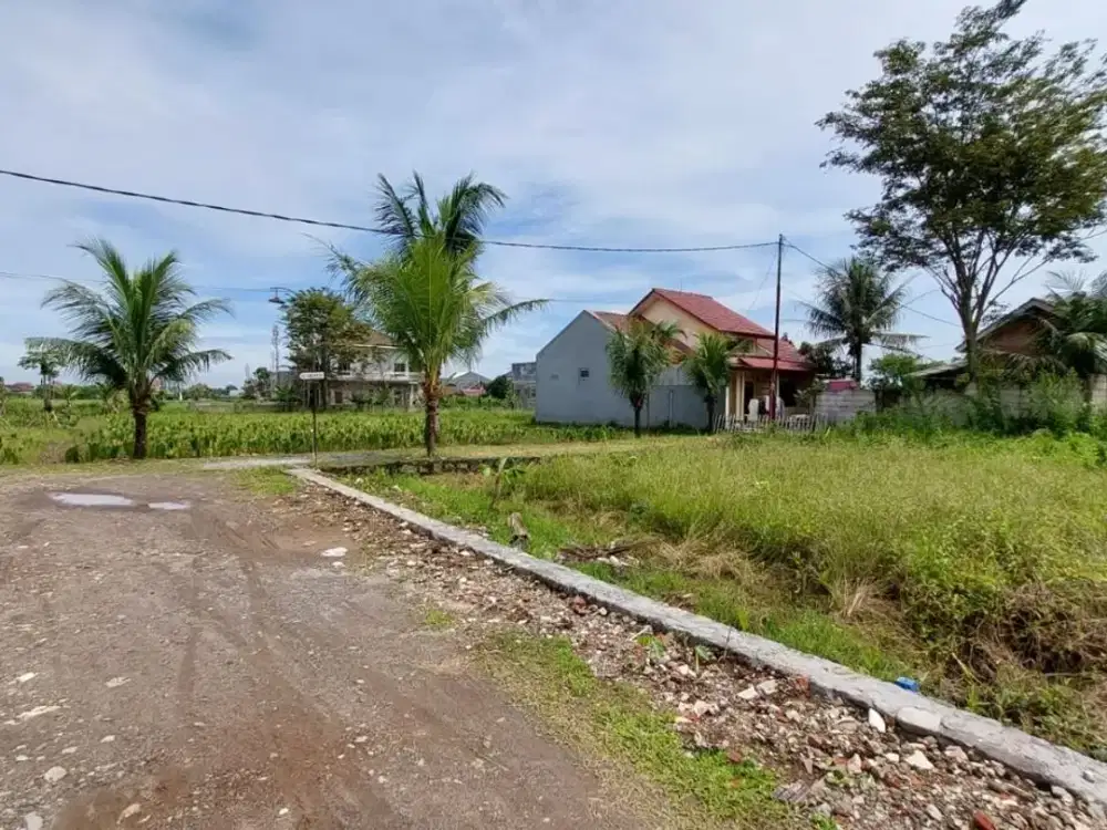 Strategis Untuk Kost! Tanah Kavling Dekat Kampus IPB - SHM 200Jtan