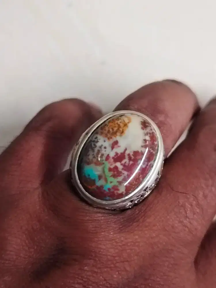 Pancawarna garut mercab odim