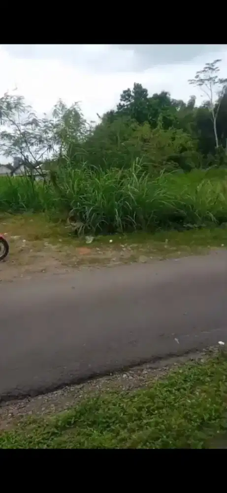 Dijual tanah SHM Luas 2500m²