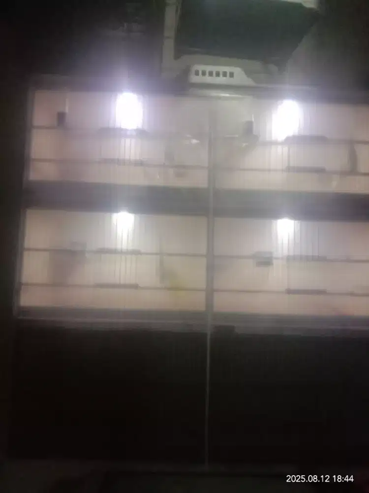 dijual sangkar ternak  buat 6 jodo