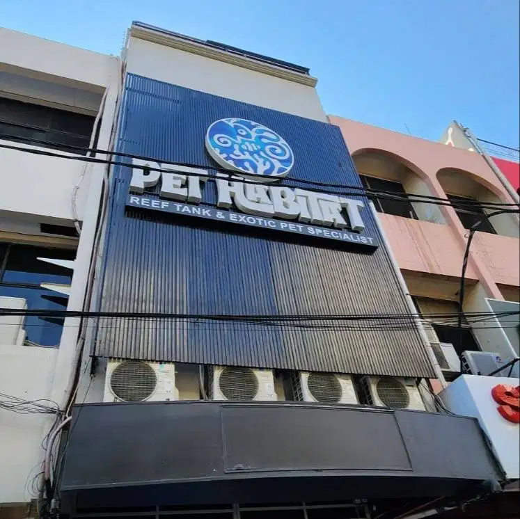 DICARI ADMIN SALES TOKO AQUARIUM LAUT TANGERANG