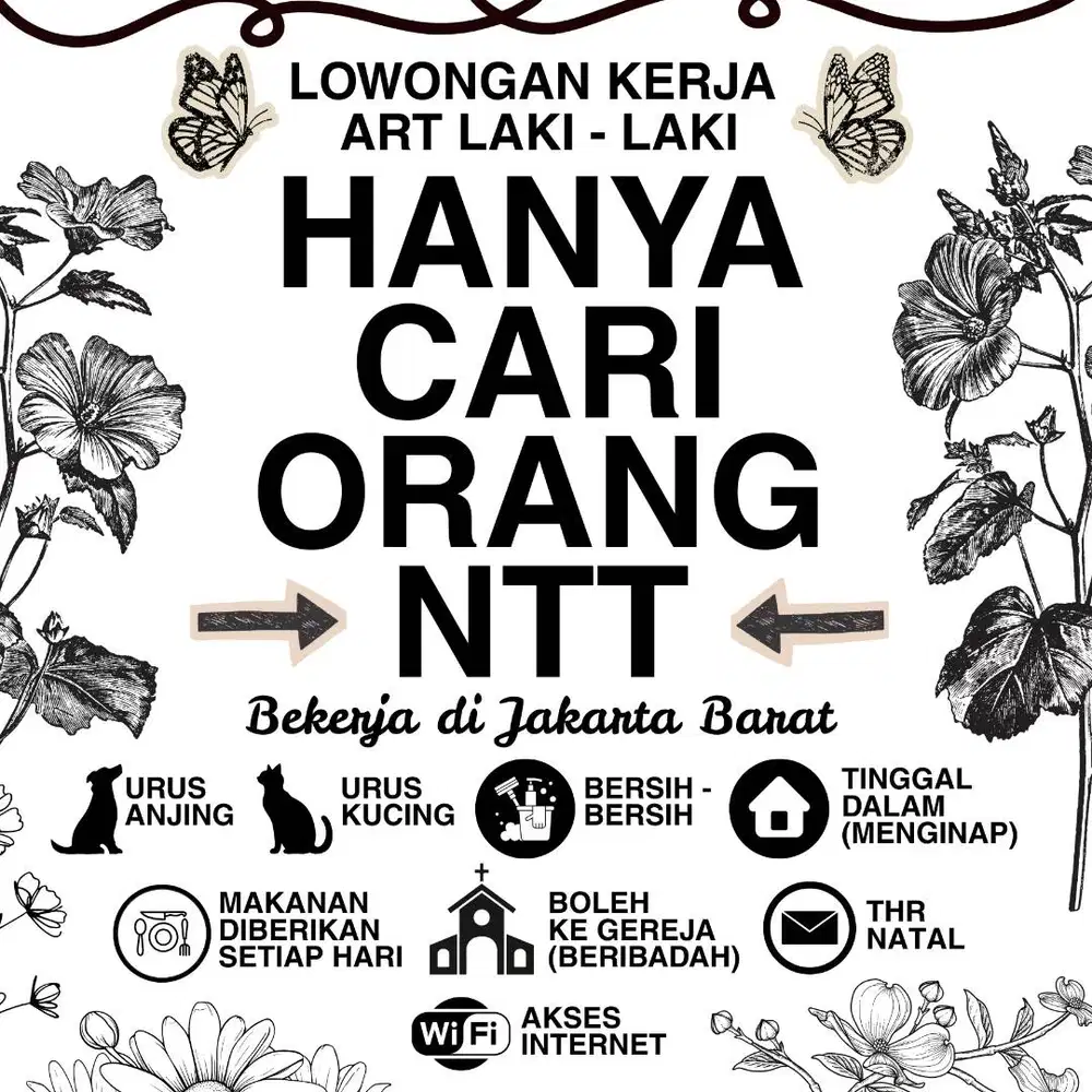 ART LAKI - LAKI ASAL NTT