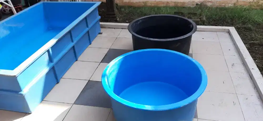 Bak Ikan fiber tebal